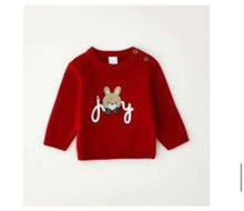 Load image into Gallery viewer, iDO Baby Boys Bunny Joy Jumper
