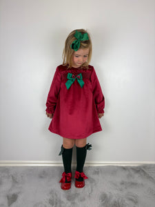Ceyber Red and Green Velvet Dress