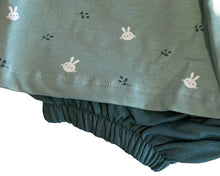 Load image into Gallery viewer, Street Monkey Baby Girls Bunny Dress &amp; Bloomers