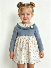 Load image into Gallery viewer, Juliana Baby Girls Blue Woodland Dress