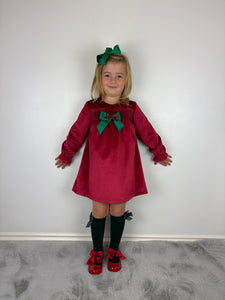 Ceyber Red and Green Velvet Dress