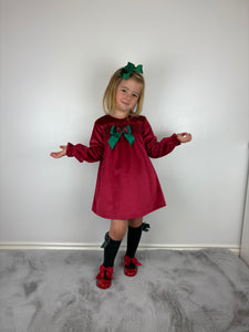 Ceyber Red and Green Velvet Dress