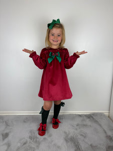 Ceyber Red and Green Velvet Dress