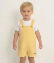 Load image into Gallery viewer, Calamaro Baby Boys Pineapple Set