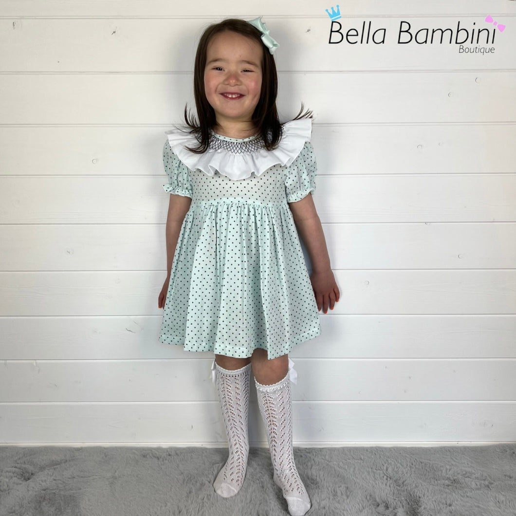 Ceyber Girls Mint Smocked Frill Collar Dress