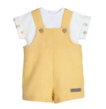 Load image into Gallery viewer, Calamaro Baby Boys Pineapple Set