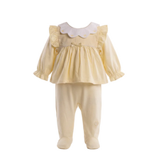 Load image into Gallery viewer, Mintini Baby Girls Lemon Butterfly All In One