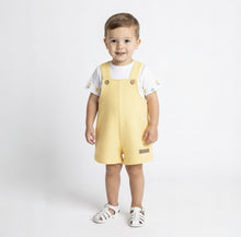 Load image into Gallery viewer, Calamaro Baby Boys Pineapple Set